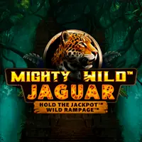 YBets Casino – Mighty Wild Jaguar